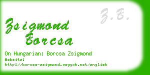 zsigmond borcsa business card